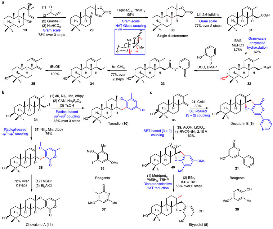 生物合成和定向催化合成,生物合成反应和分解反应解析