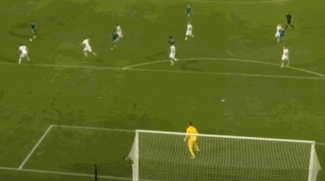 勒夫执教德国队的历程,勒夫精彩回顾