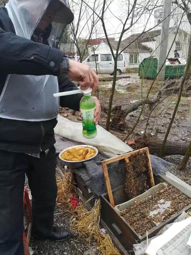 蜂箱有虫子怎么办,蜂箱壁上有很多蜂是怎么了