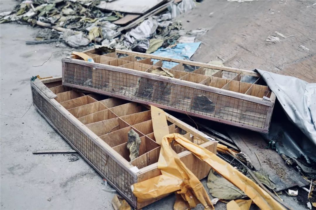 成都黄田坝鸟市在哪里,成都黄田坝鸟市