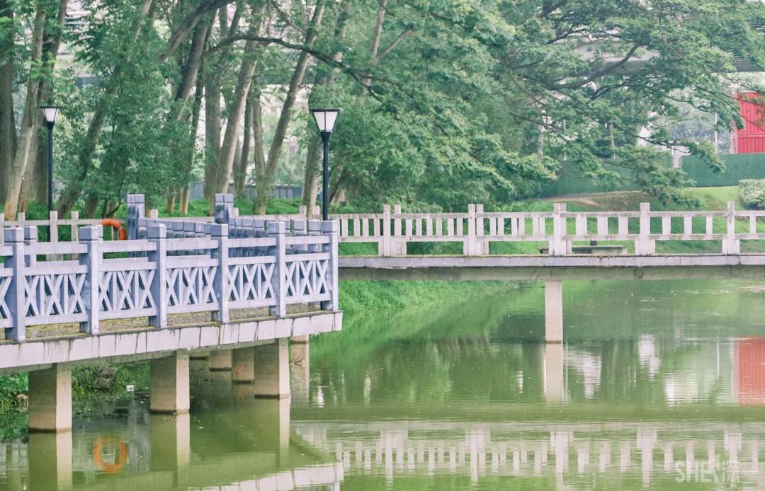 深圳八大绝美公园,山水公园深圳