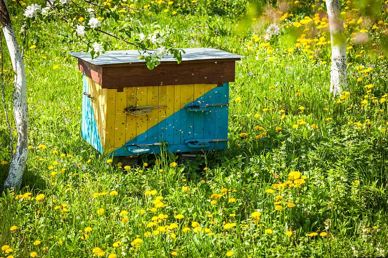 蜡螟危害蜂群的典型症状,中蜂防巢虫技术