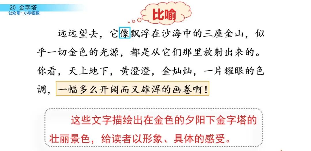 部编版五年级下册语文金字塔教案,语文书五年级下册第20课课后练习
