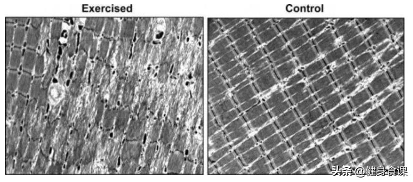 为什么练了不发力没有训练痕迹,为什么练完没有力但是不累
