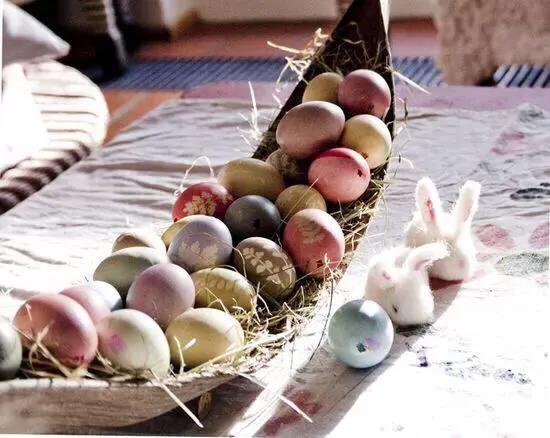 diy花草蛋,花草蛋制作图片