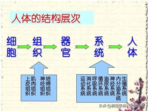 100个思维模型目标管理,100种思维模型具体是哪些