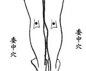 送给中老年朋友的拍打穴位操,人体穴位拍打操30分钟健身操视频