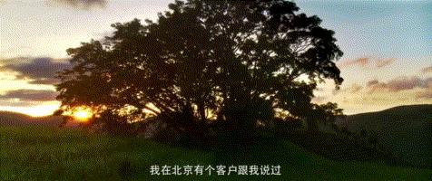 这是一篇独属于这个时代年轻人的小爽文