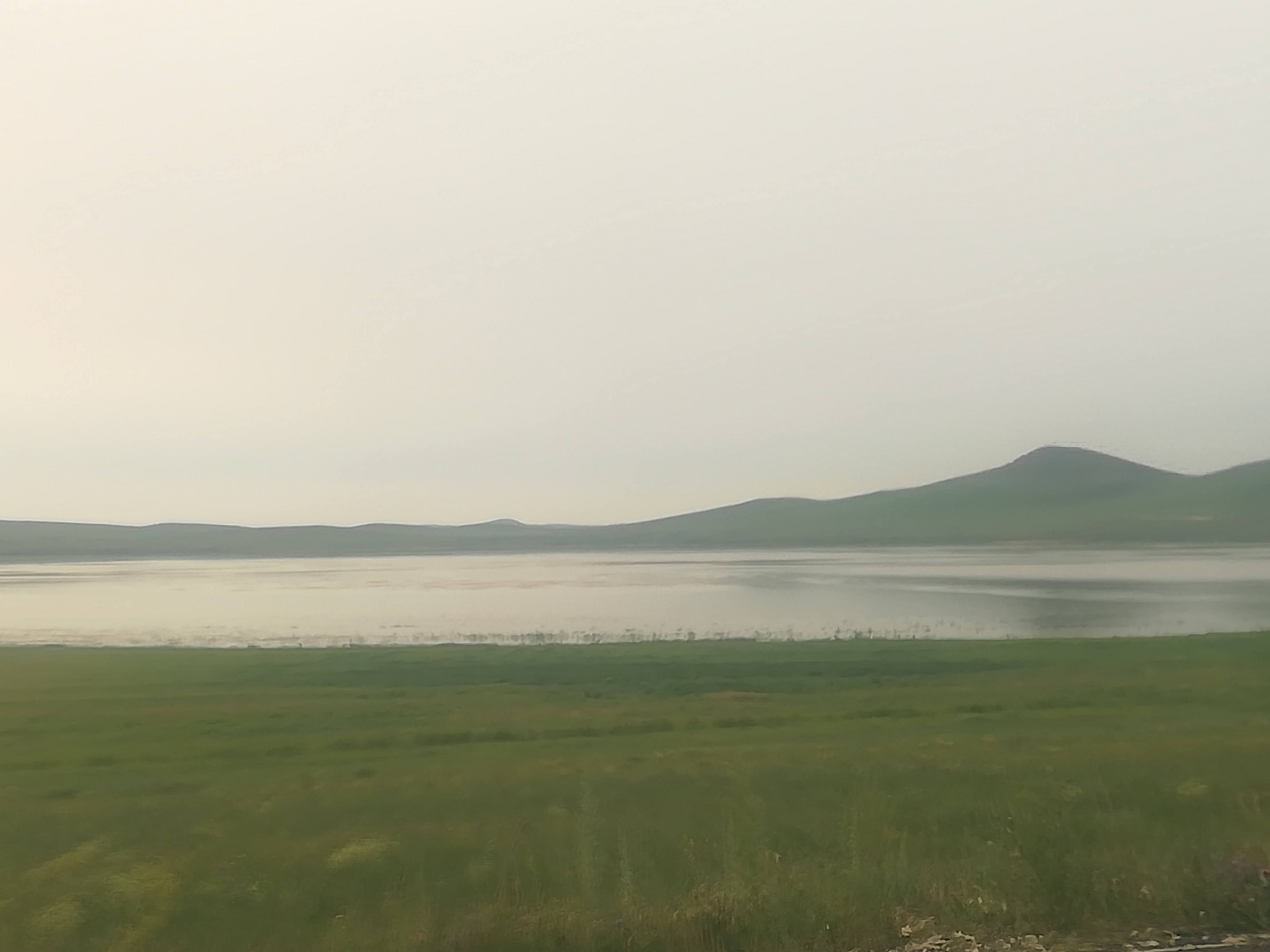 天边的草原乌拉盖抖音直播间,天边草原乌拉盖