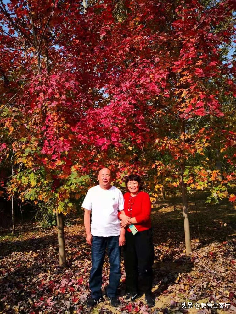 金秋旅游视频模板,国庆郯国古城游玩攻略