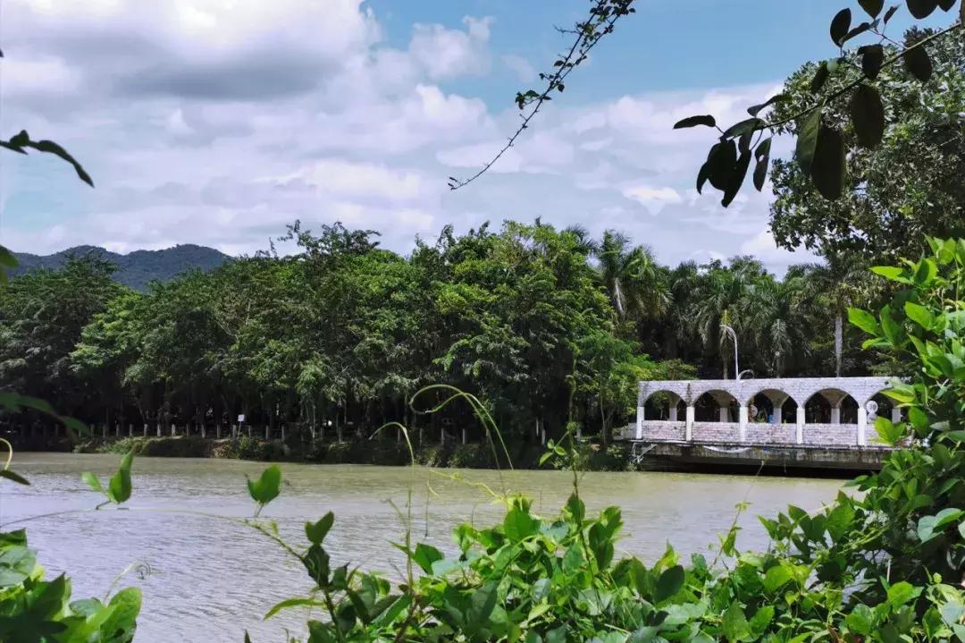 三亚学院21年新生报到,三亚学院新生入学教育