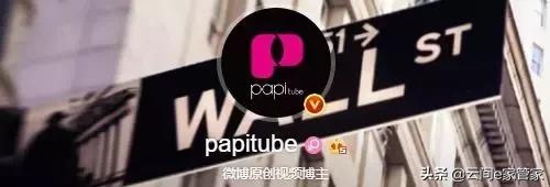 没想到这些大号他们“制造”出来的，这些大号你关注了哪些呢？