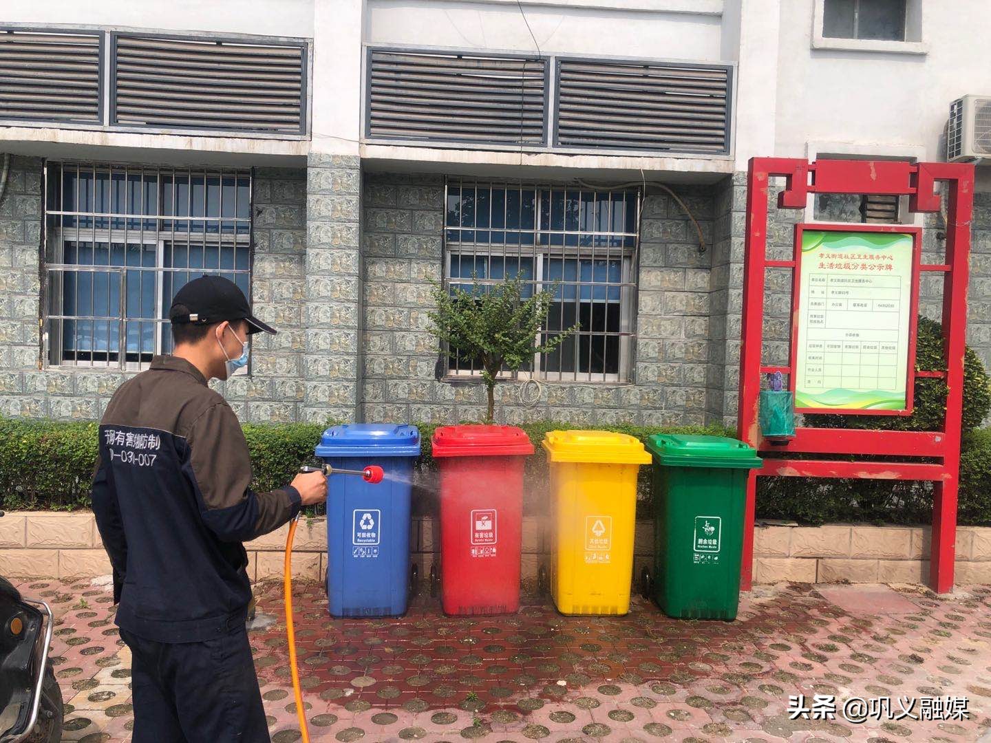 政府“买单”请专业队伍“除四害”