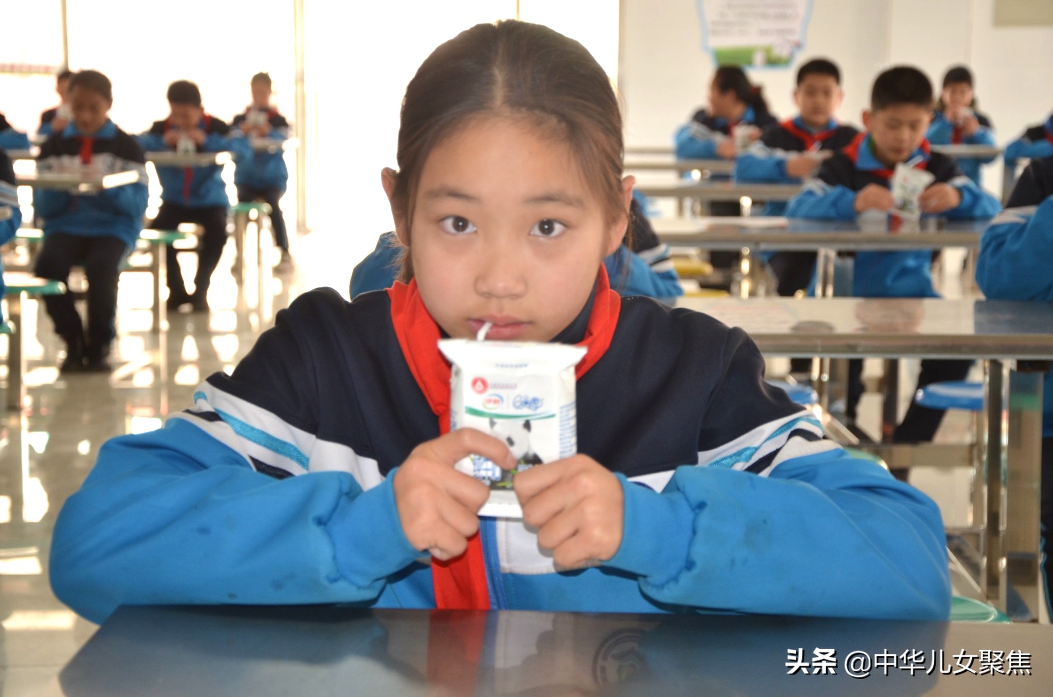 伊利学生饮用奶好不好呀,伊利学生饮用奶