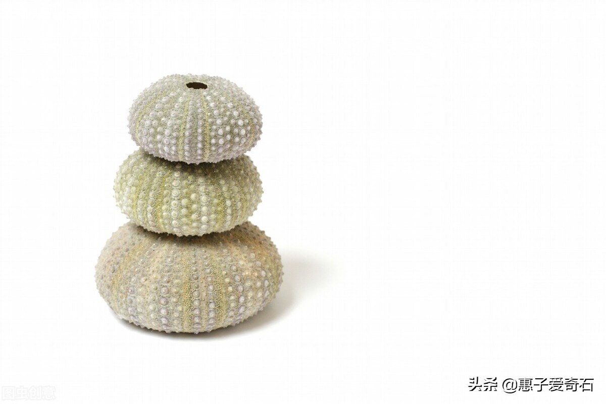 台湾省奇石玉石一览,中国四大奇石价值连城