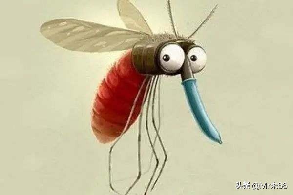 蚊子喜欢在耳边嗡嗡,蚊子为什么喜欢在耳边嗡嗡叫科普