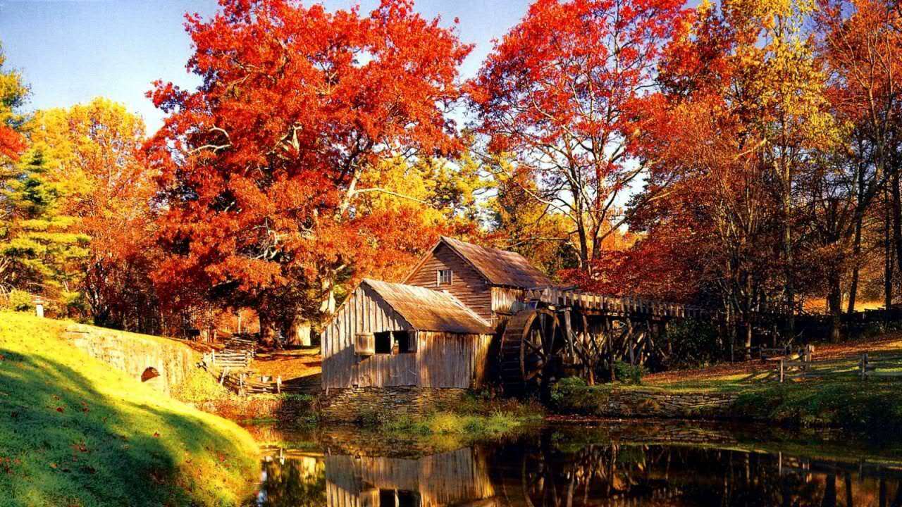 北美枫情蒙特利尔系列,加拿大枫叶最好的地方