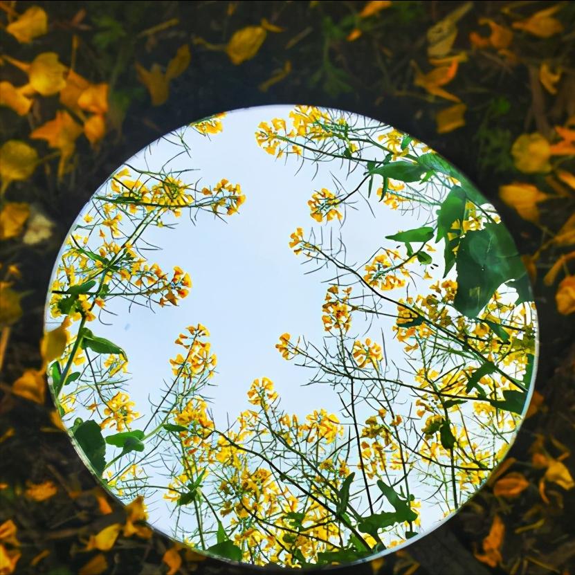 华东江苏篇,浅谈全国各省份