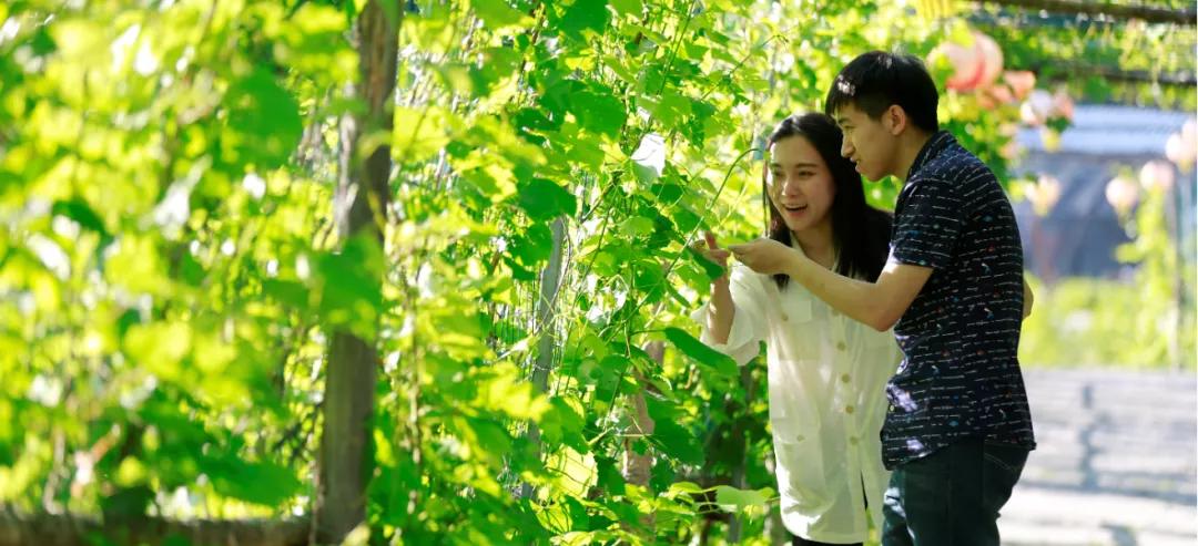 五一旅游如何去长白山,白山市4天旅游攻略