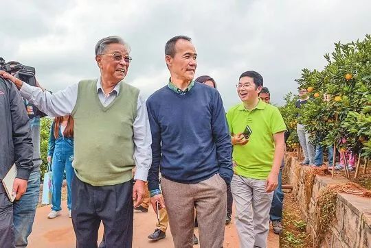 橙子大王褚时健的传奇人生 (褚时健为什么能成为橙王)