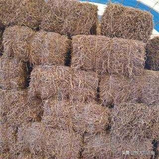 床垫怎样选购合适,床垫什么样的好该如何挑选床垫