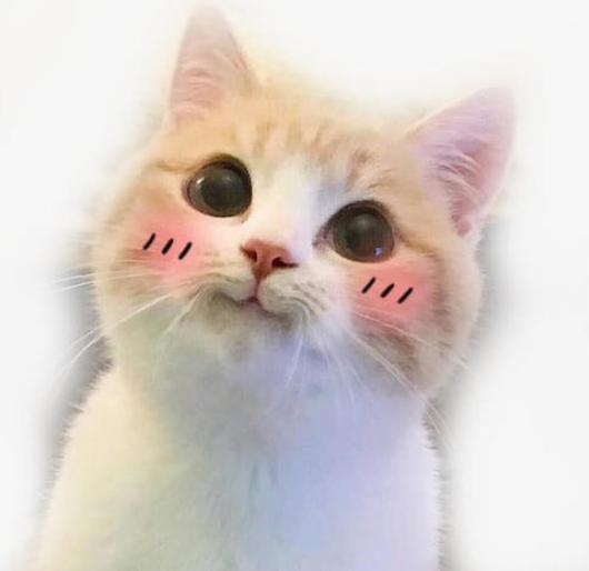 开放式厨房台面收纳整理技巧,小户型厨房台面收纳