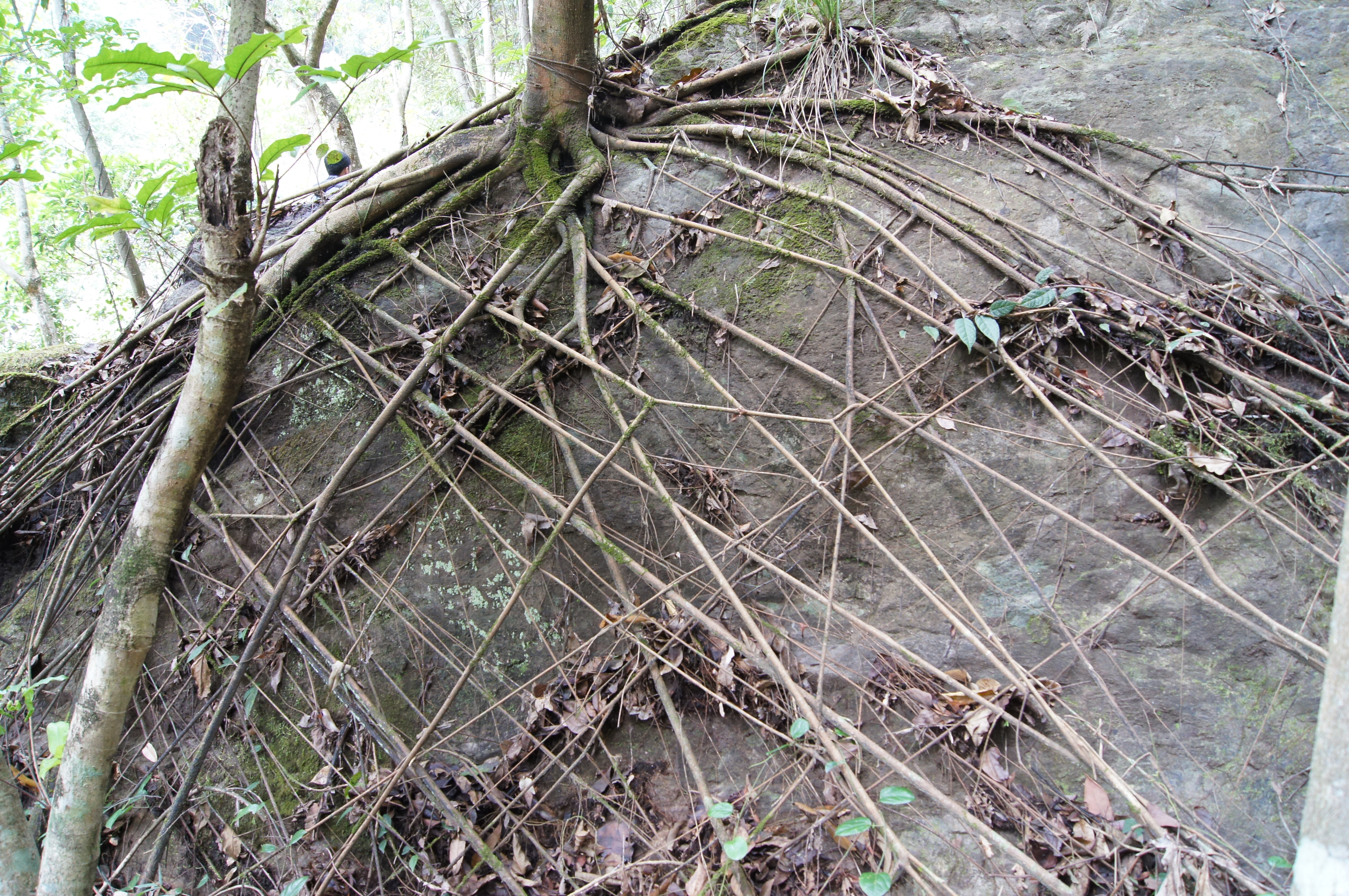 永泰百漈沟瀑布航拍,永泰百漈沟瀑布群