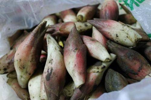 治咳嗽最有效的中草药,治疗咳嗽的草药有哪些