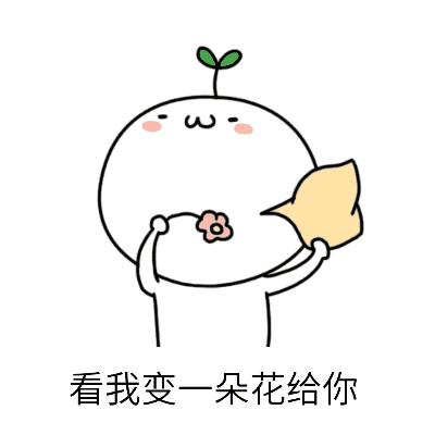 杭州太多人遭殃！花没收到，门店也全关了，“门客生活”真的跑路了吗？