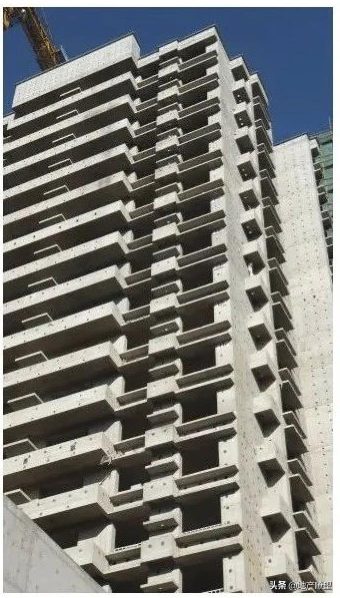 苦等10年终成正果,苦等十年后续