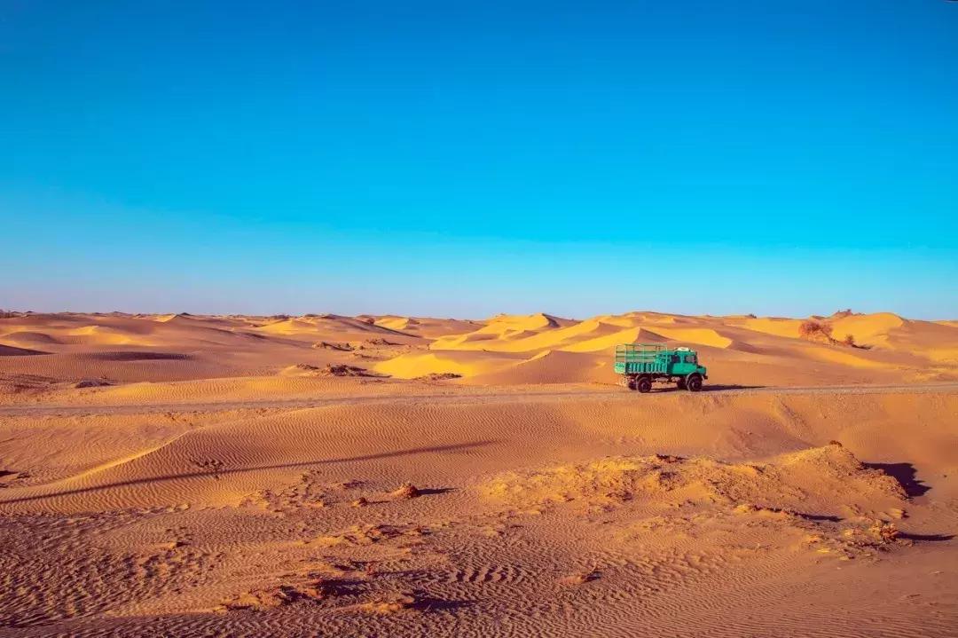 北疆的美完整版,北疆的景最美