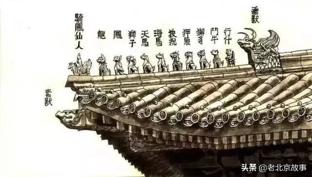 故宫成了动物园,故宫北京动物园