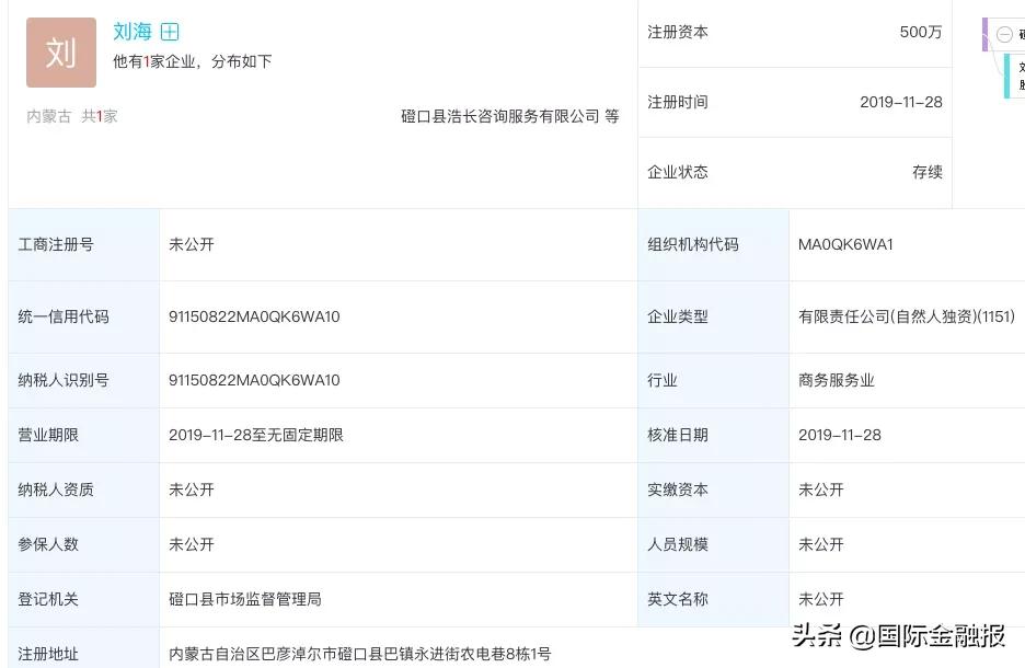 银湖网母公司,银湖网熊猫金控