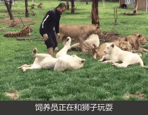 刚从后院挖出来的,大家帮我鉴定一下,我是不是要发财了?