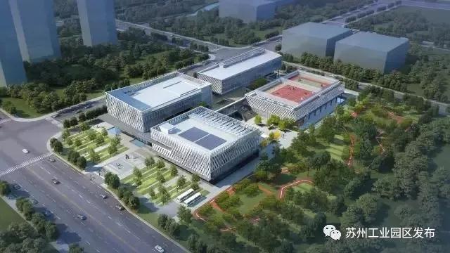 尖叫!苏州碾压一线城市,迎来高光时刻