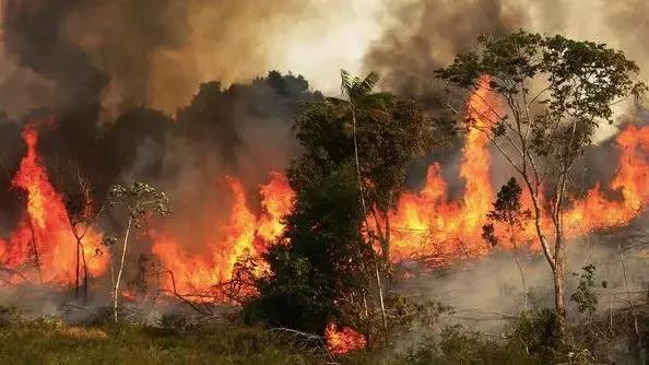 新加坡鱼尾狮公园美景,新加坡鱼尾狮要拆除了吗