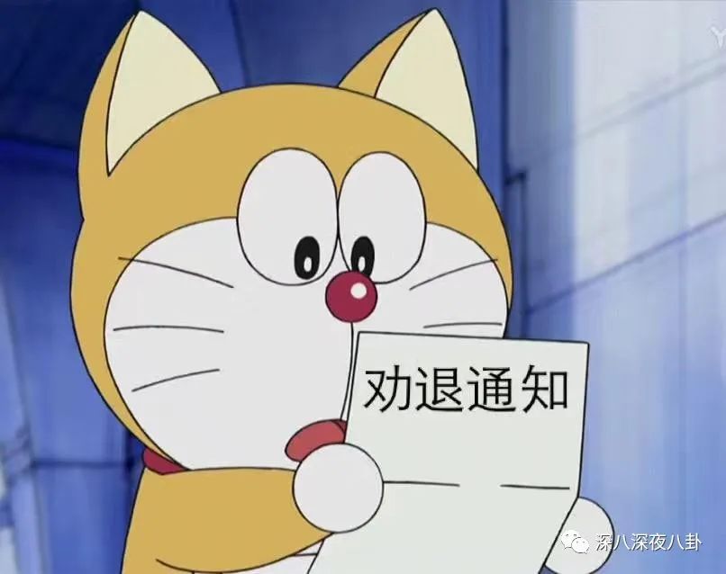 新一波韭菜又该熟了,这一次的新韭菜还够割吗