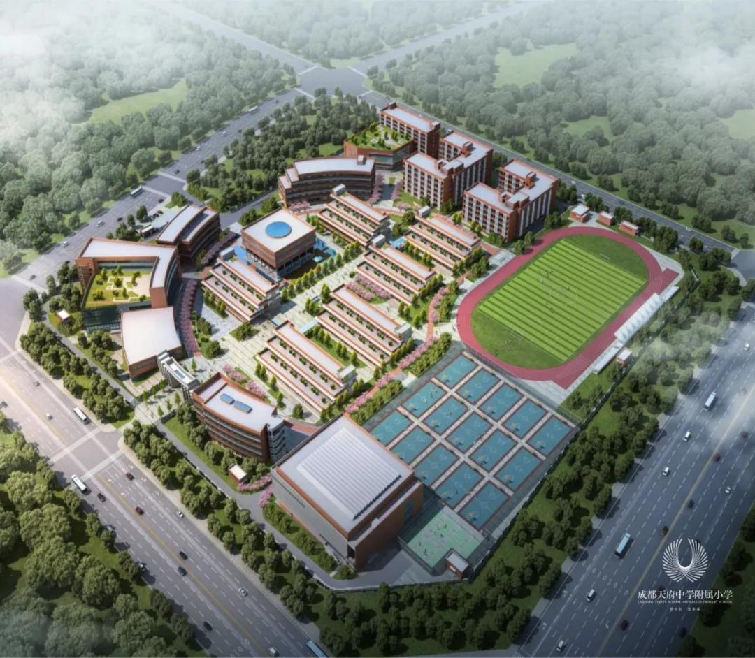 明年开学的天府中学附属小学怎么样？我们跟陆枋校长聊了聊