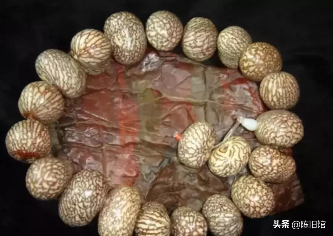 最值得玩的菩提子,真正的菩提子