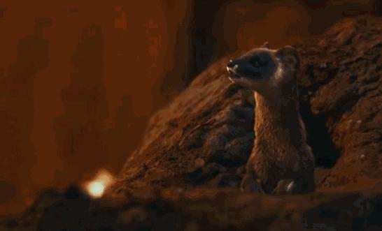 在东北，谁还没个远房亲戚能跳大神儿了？