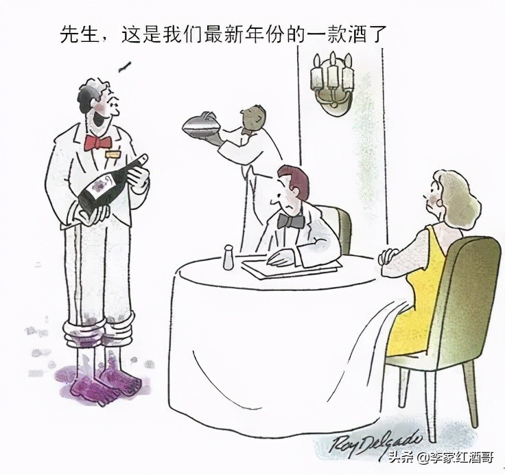 50种有趣的葡萄酒,整理了15条葡萄酒小知识