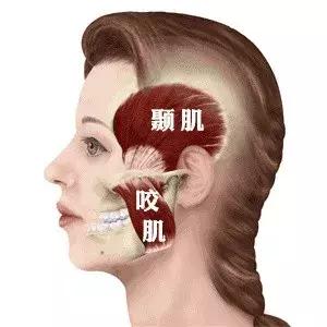 脸大小不对称怎么矫正,如何改善大小脸不对称