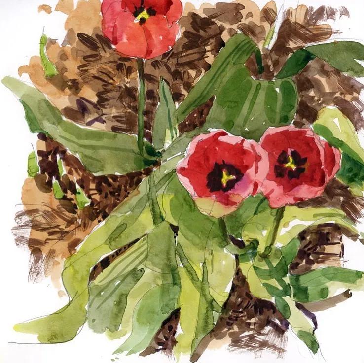 酣畅淋漓的水彩,酣畅淋漓水彩