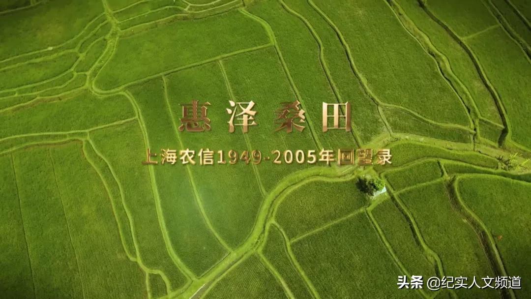 “我们的发展始终伴随着泥土的芬芳”纪录片《惠泽桑田》回顾上海农信事业发展历程