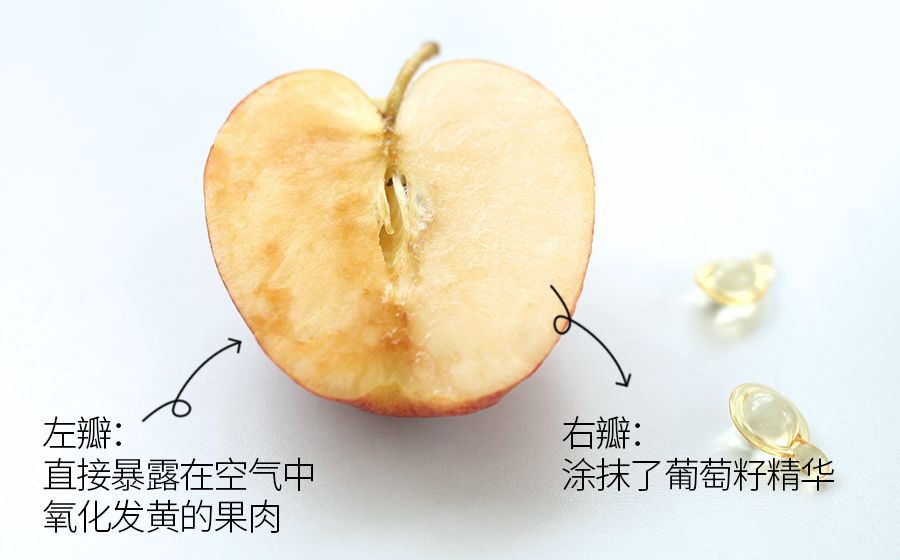 琚佸濮楁帹鑽愯憽钀勭苯鎶よ偆,琚佸濮楄憽钀勭苯绮惧崕