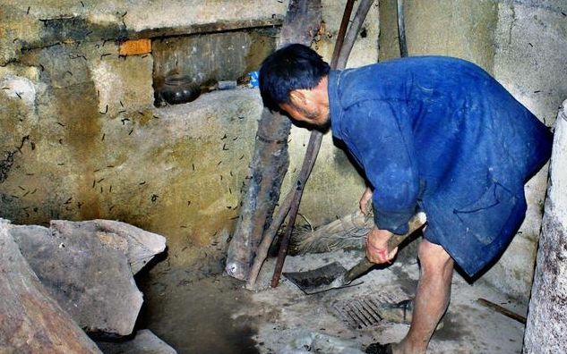 神秘怪虫袭击,神秘怪虫袭击小镇