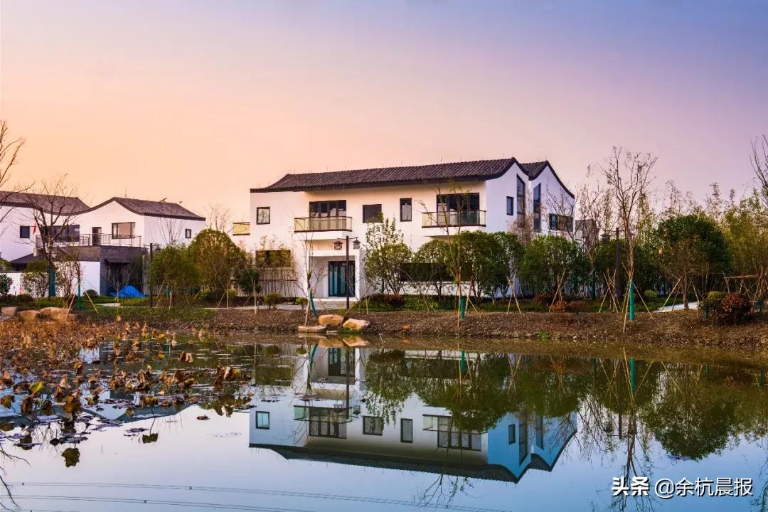 90000平方米的公园,余杭良渚门户公园足球场