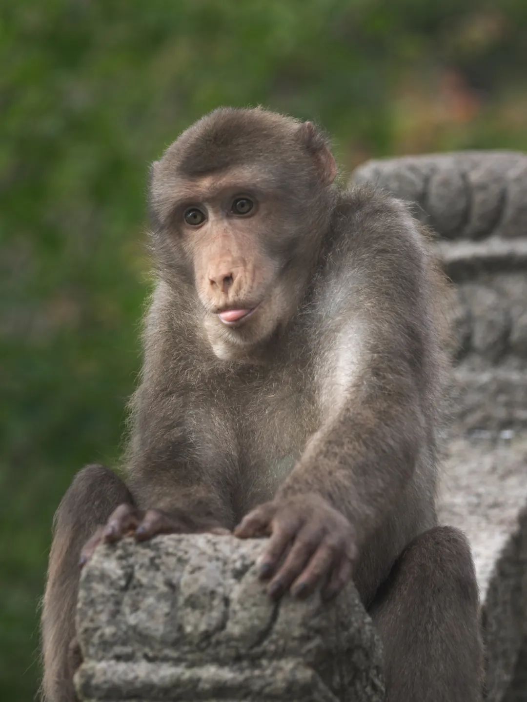 我国四大名山九华山,四大佛教名山哪个风景最美