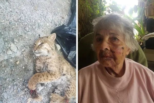 赤手空拳打野兽有用吗,人赤手空拳有可能打过老虎吗