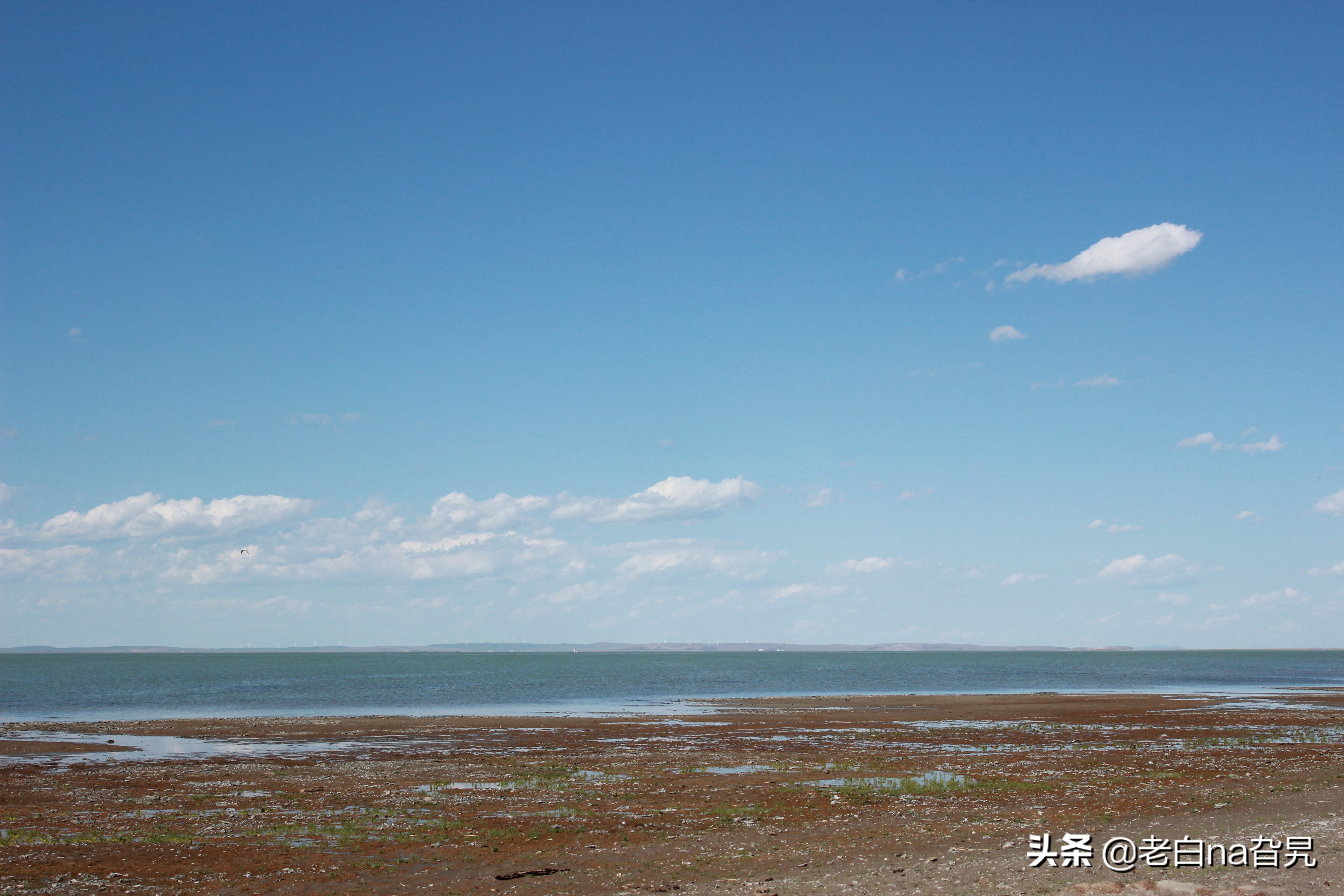 达里诺尔湖早上的风景,达里诺尔湖四大名湖